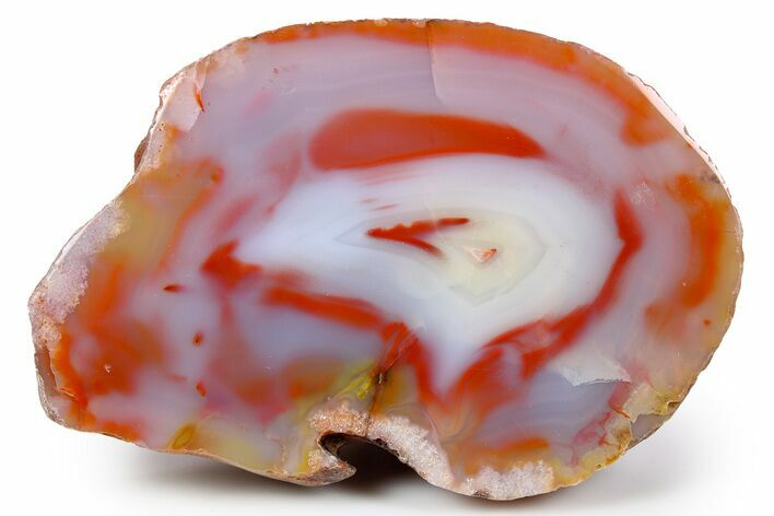 Colorful, Polished Patagonia Agate - Highly Fluorescent! #260761